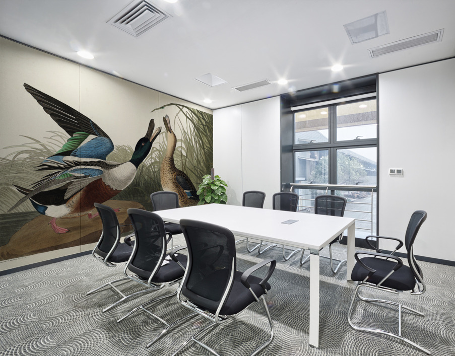 Shoveller Duck Wall Printing