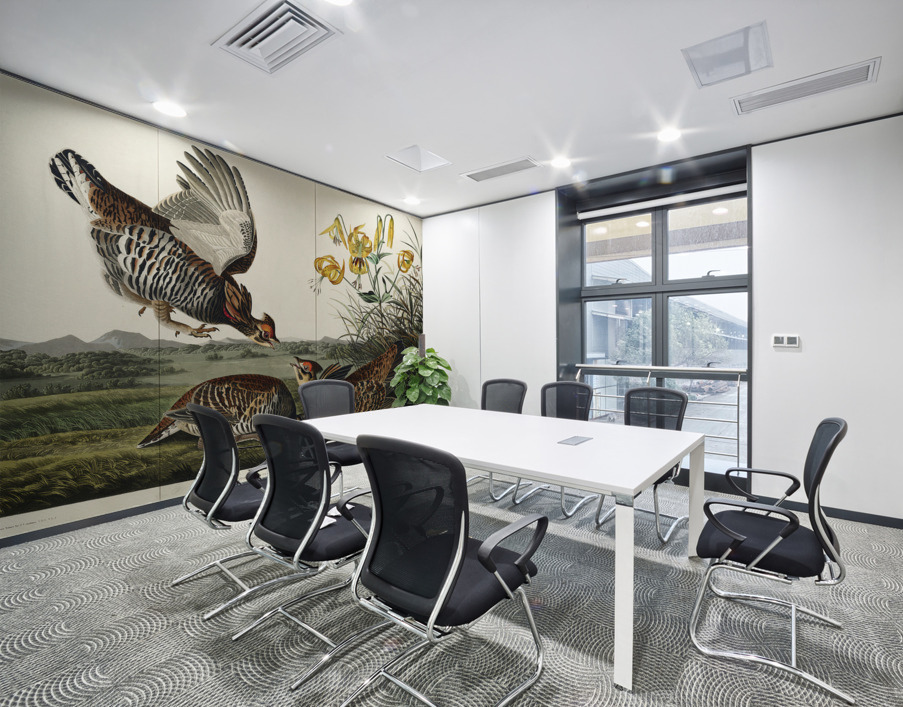 Wandering Shearwater Wall Printing