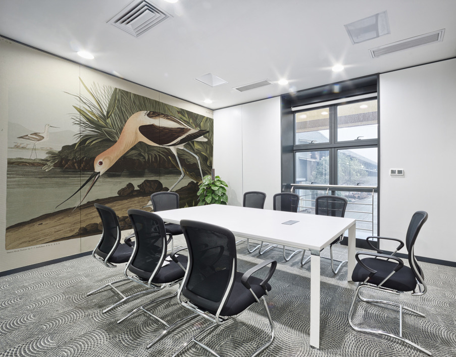 American Avocet Wall Printing