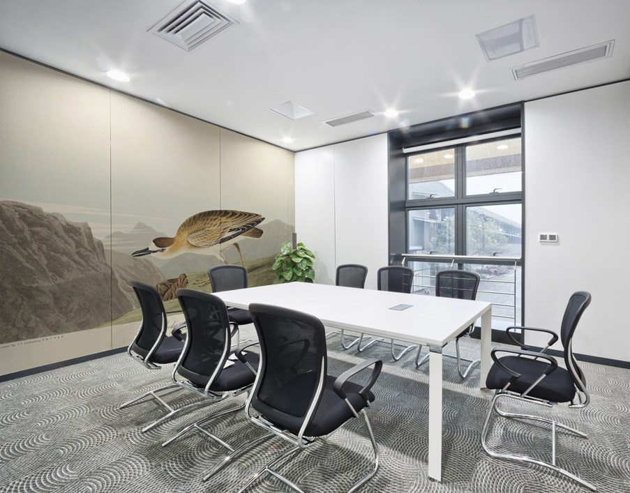 Rocky Mountain Plover Wall Printing