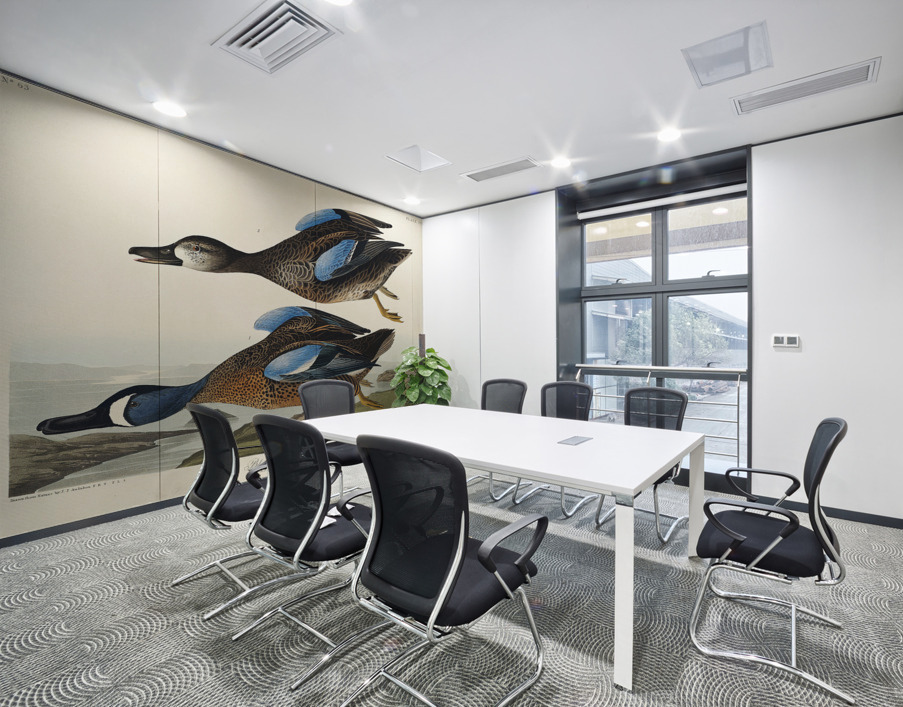 Blue-Winged Teal Wall Printing