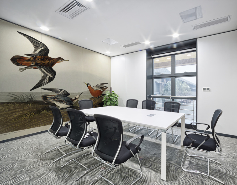 Red Phalarope Wall Printing