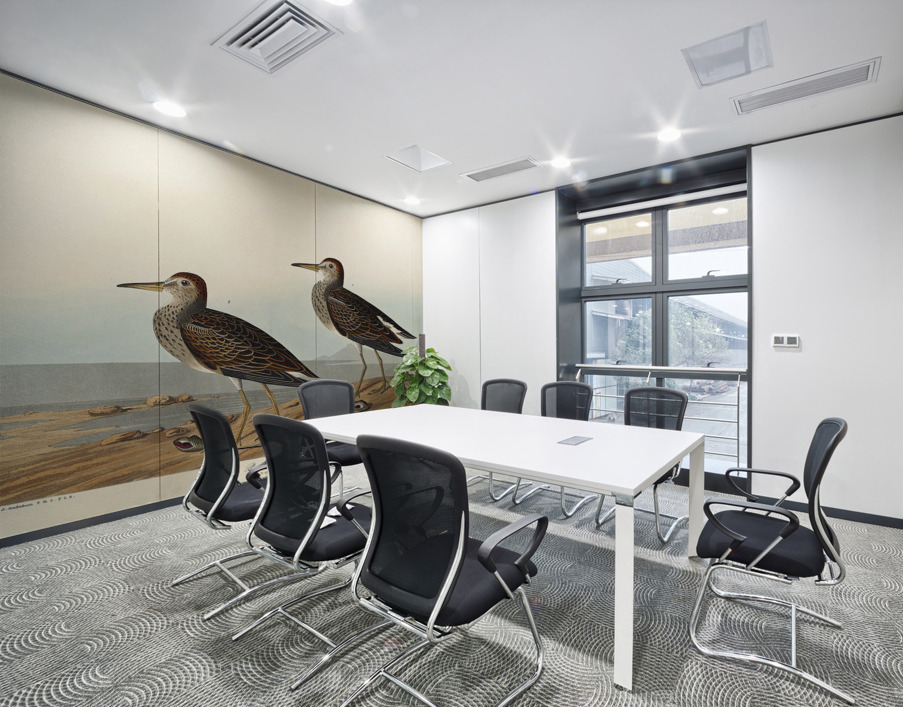 Pectoral Sandpiper Wall Printing