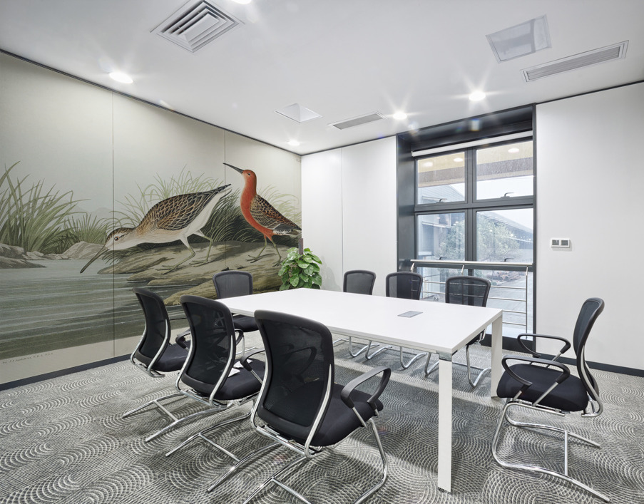 Pigmy curlew Wall Printing