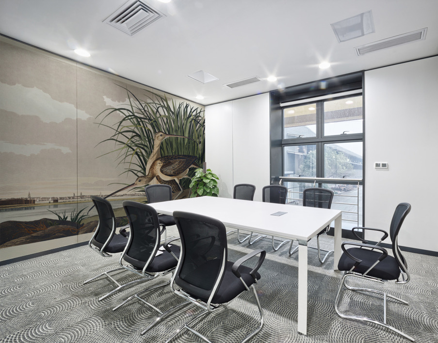 Long-billed Curlew Wall Printing