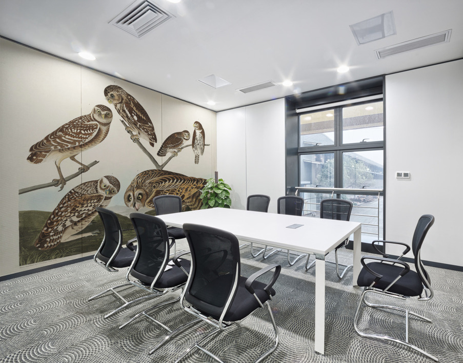 Burrowing Owl Large-Headed Burrowing Owl Little Night Owl Columbian Owl and Short-cared Owl Wall Printing