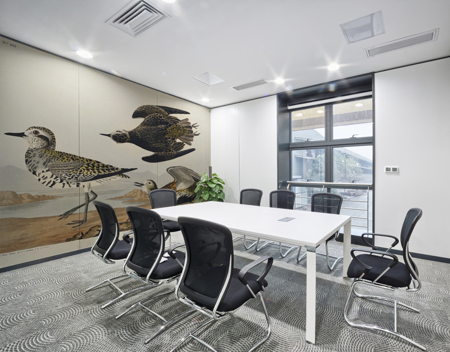 Golden Plover Wall Printing