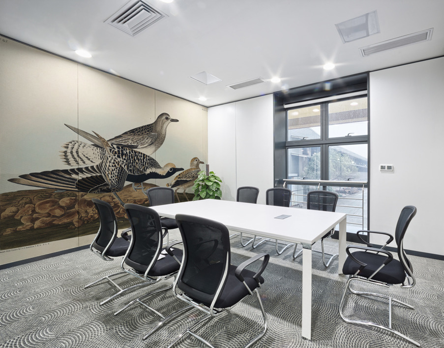 Black-bellied Plover Wall Printing