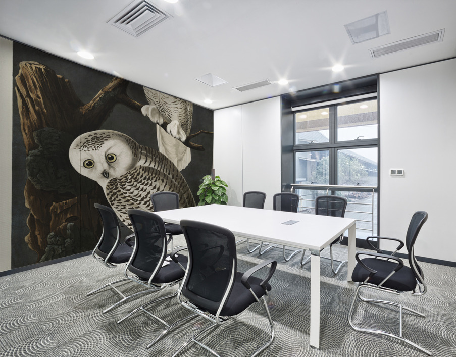 Snowy Owl Wall Printing