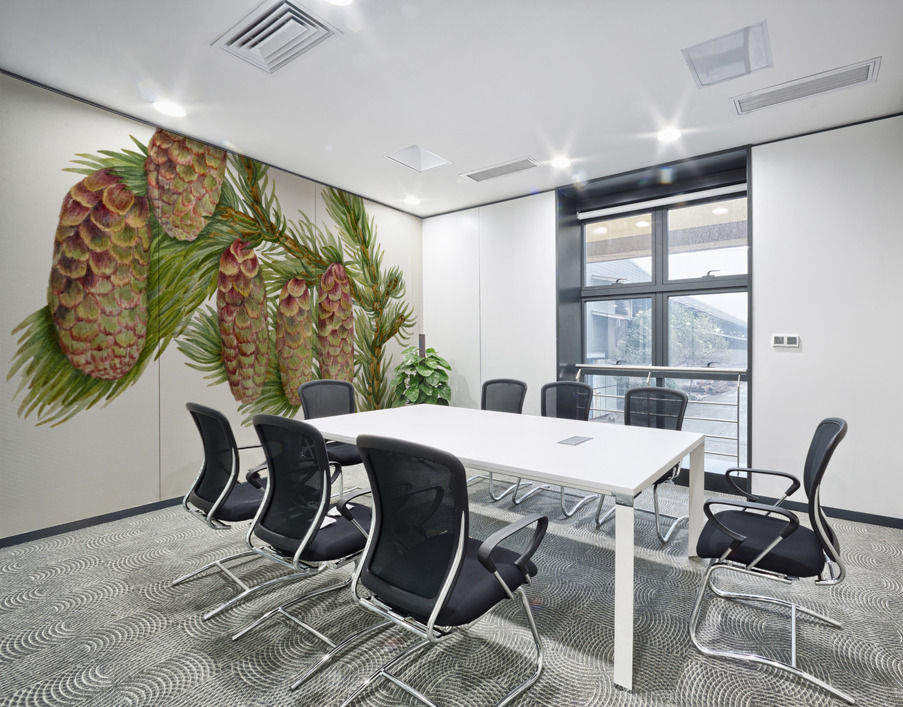 Douglas Fir Pseudotsuga mucronata 1923 Wall Printing