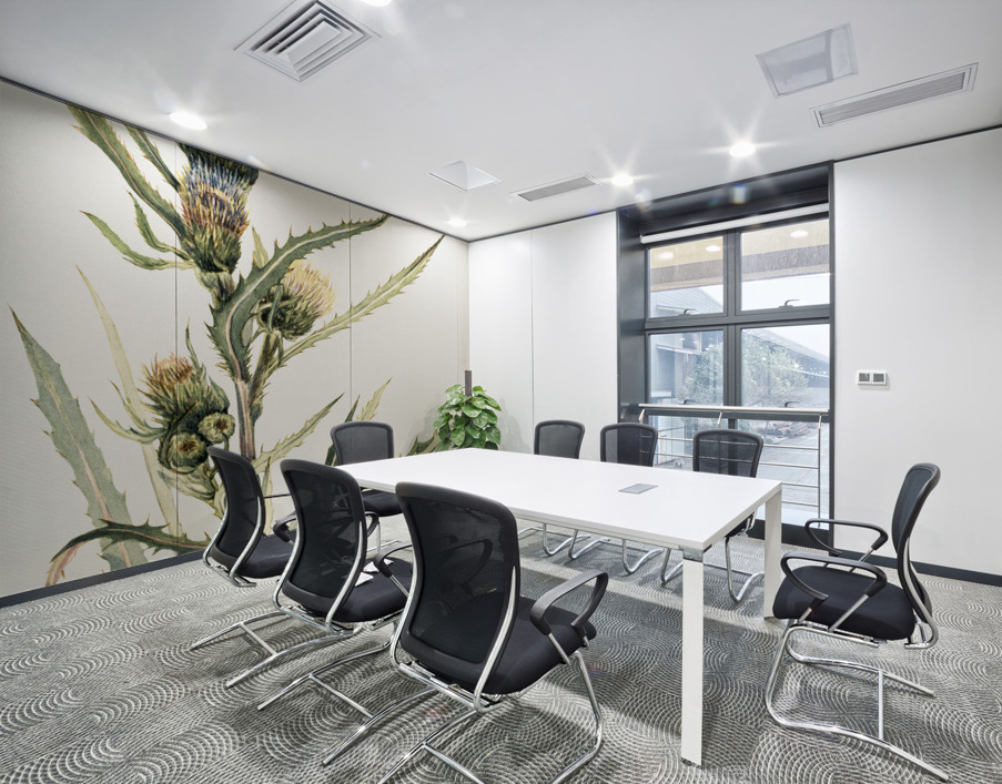 White Thistle Cirsium hookeranum Wall Printing