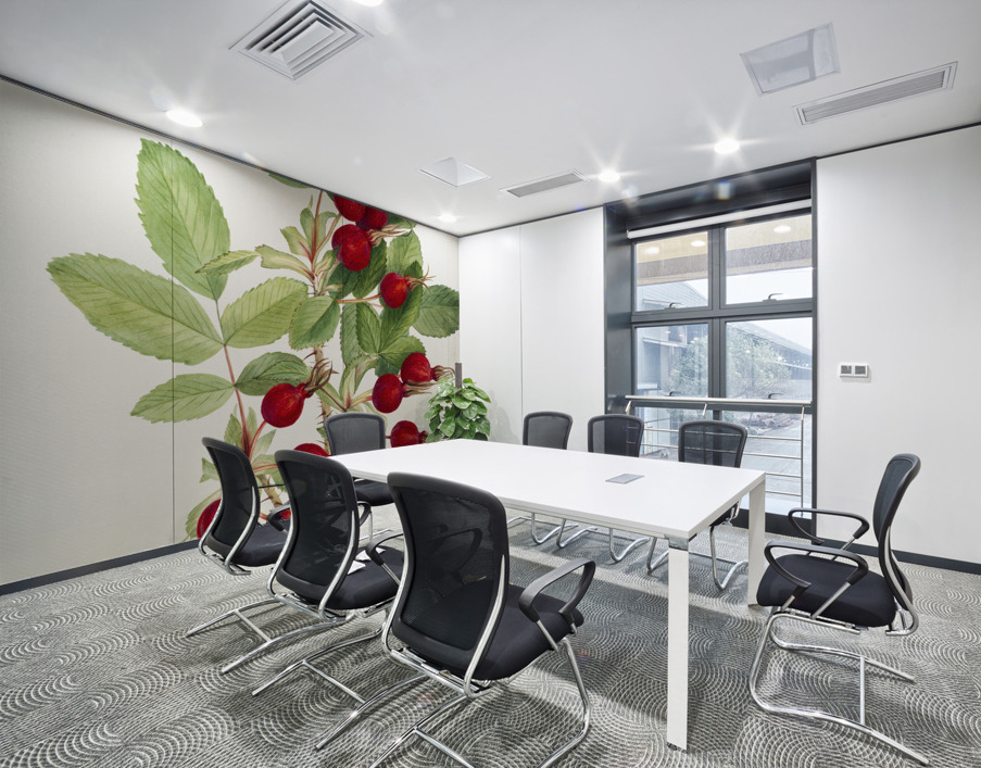 Bourgeau Rose Rosa bourgeauiana 1920 Wall Printing