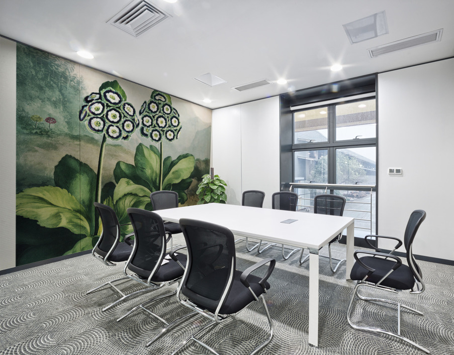 A Group of Auriculas Wall Printing