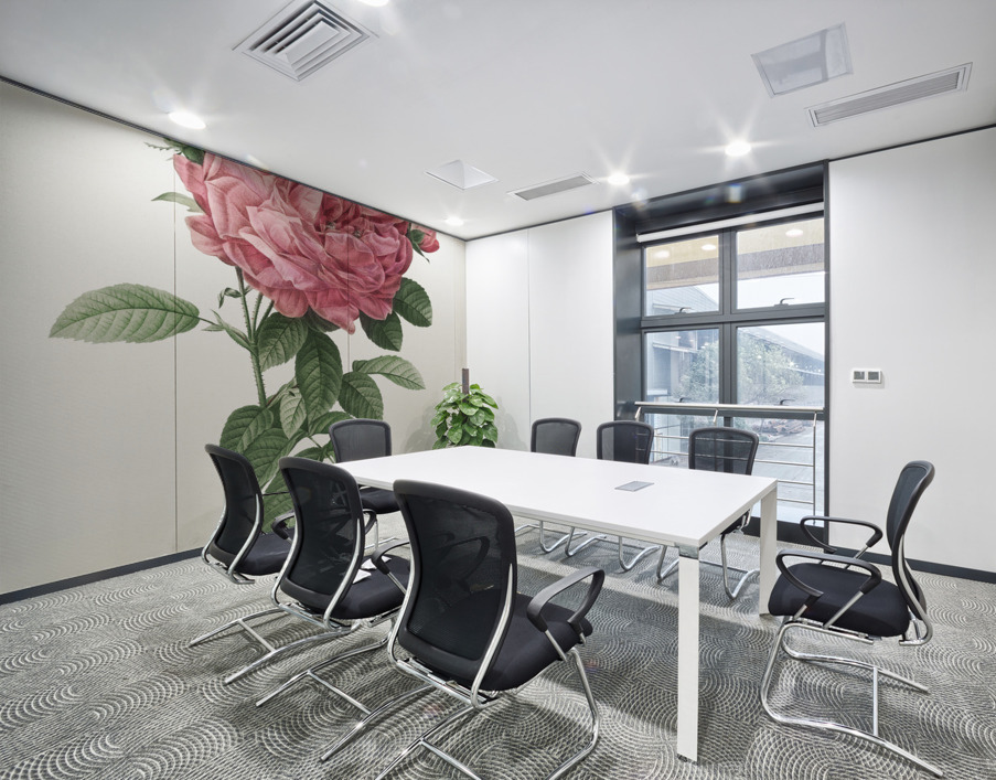 Burgundy cabbage rose in bloom Wall Printing