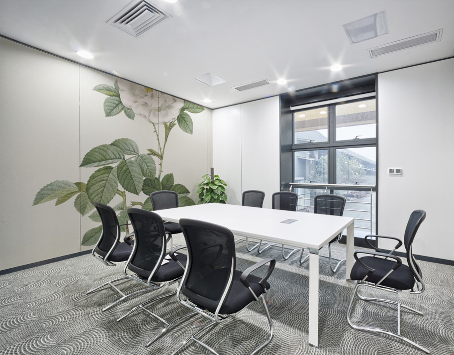 Blooming white rose Wall Printing