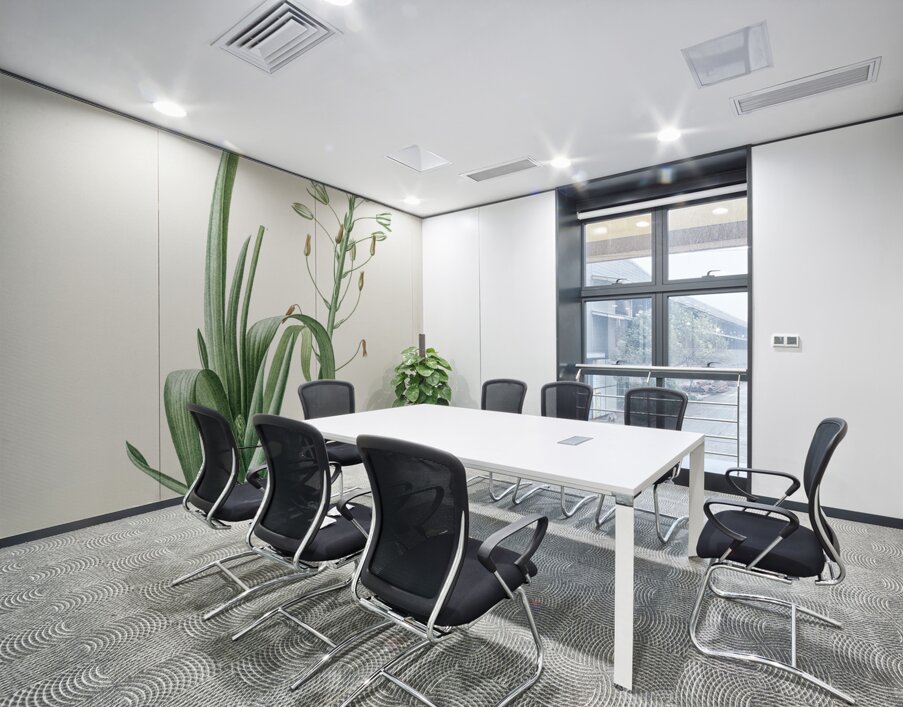 Albuca cornuta illustration  Wall Printing