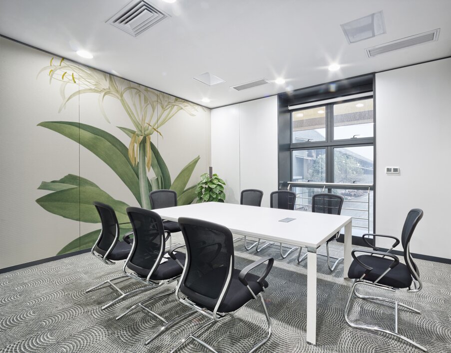 Pancratium speciosum illustration  Wall Printing