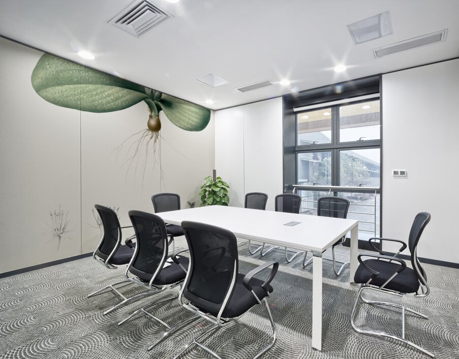 Massonia pustulata illustration  Wall Printing