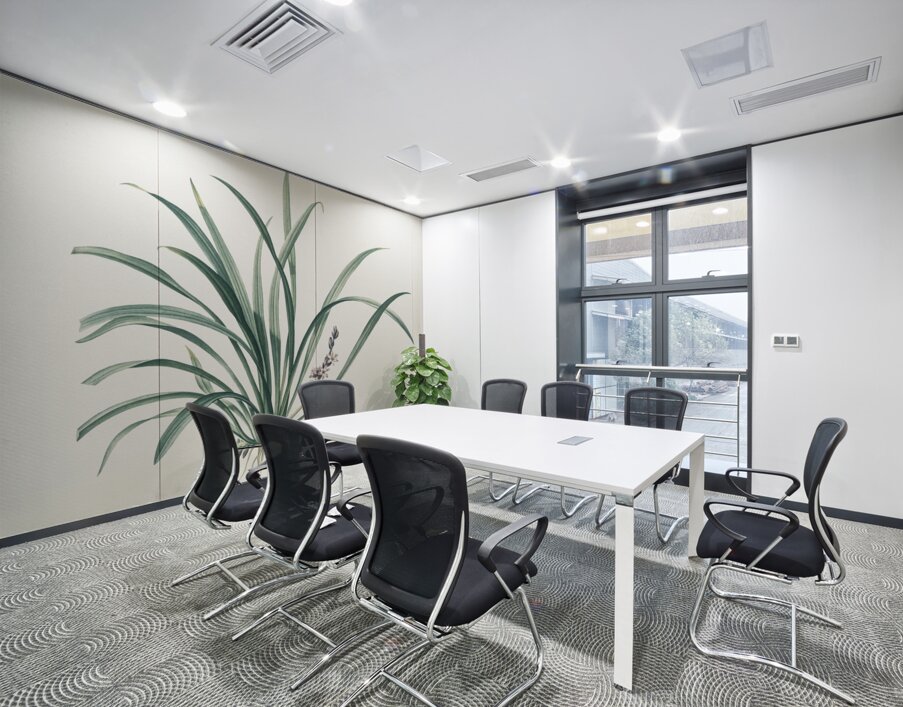 Sansevieria carnea illustration  Wall Printing