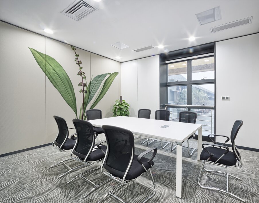 Peliosanthes teta illustration  Wall Printing