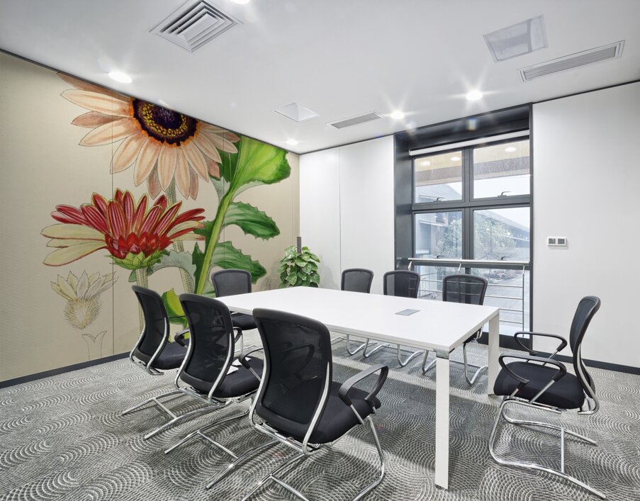 Arctotis Decurrens Wall Printing