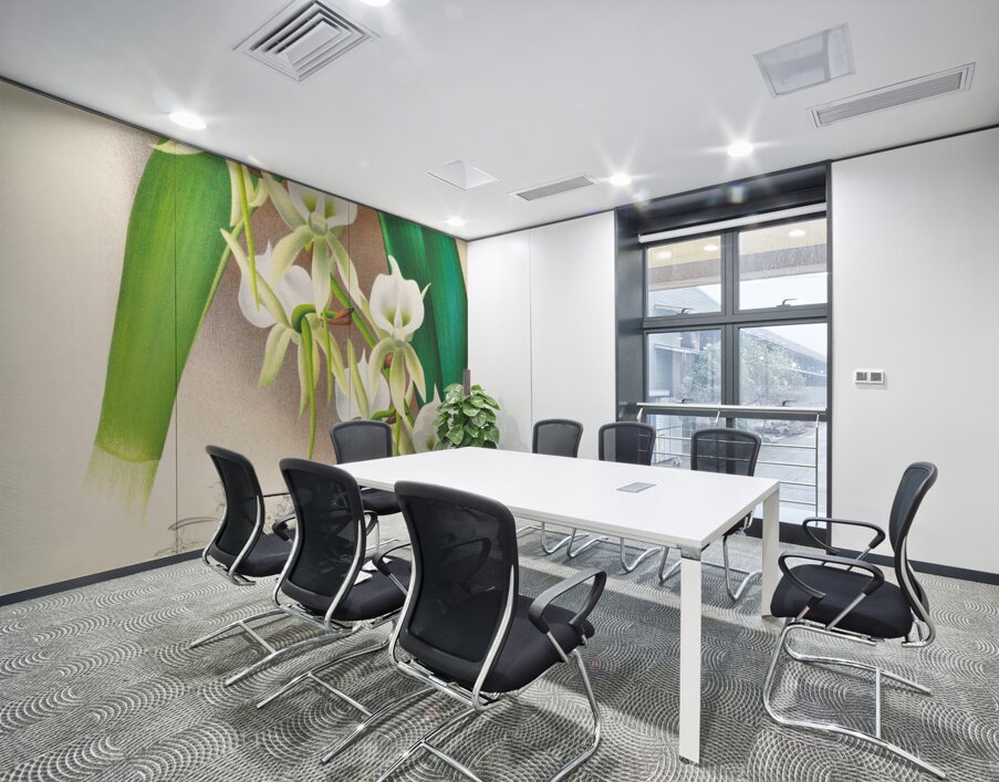 Angraecum eburneum var superbum Wall Printing