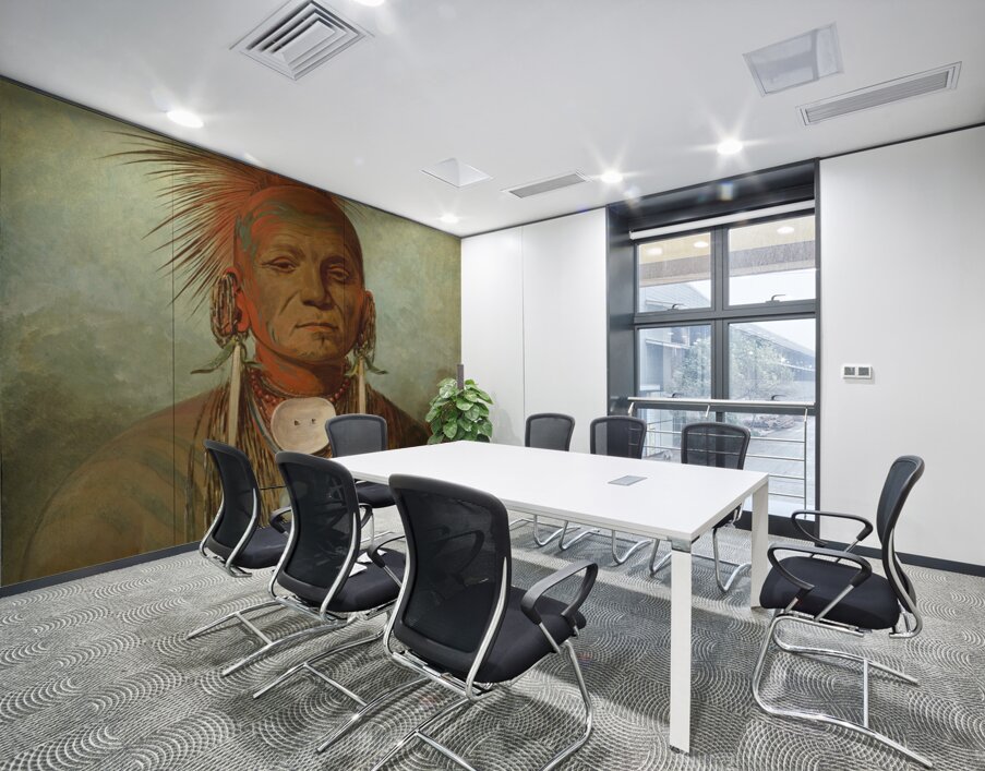 See-non-ty-a an Iowa Medicine Man 1844-1845 Wall Printing