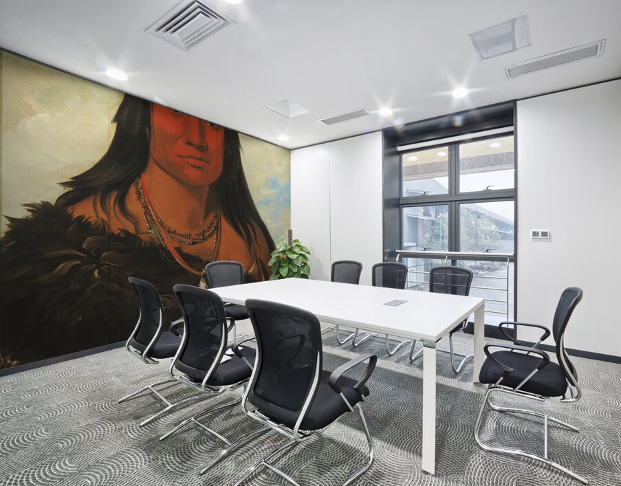 Cháh-Ee-Chópes Four Wolves a Chief In Mourning 1832 Wall Printing