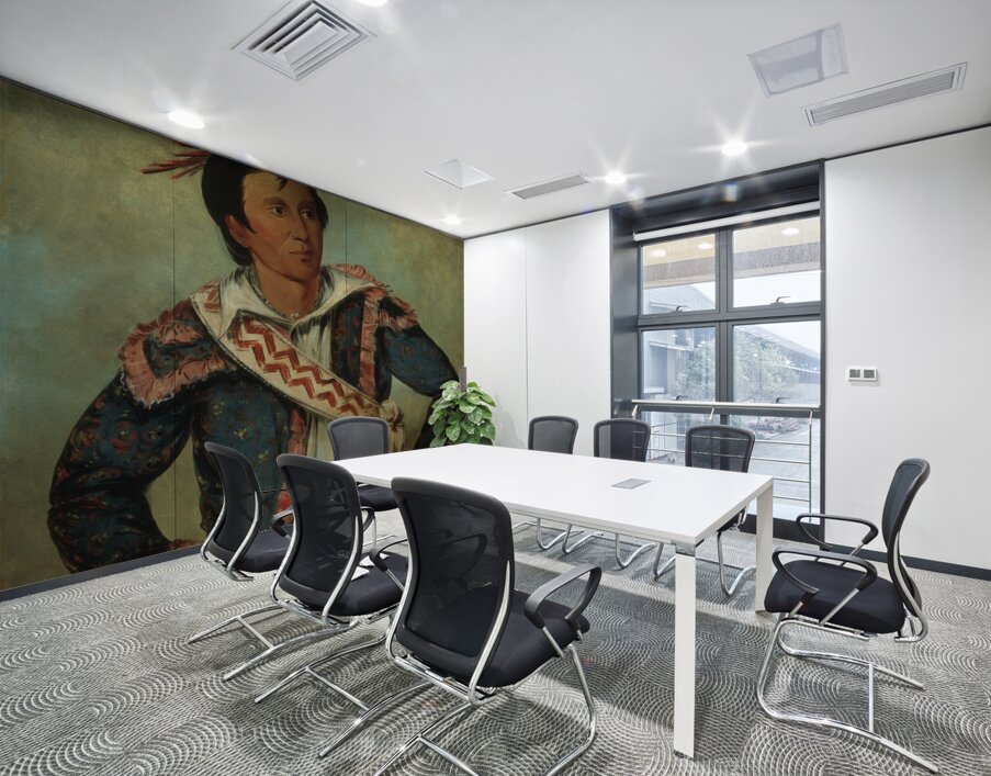 Há-Tchoo-Túc-Knee Snapping Turtle a Half-Breed 1834 Wall Printing