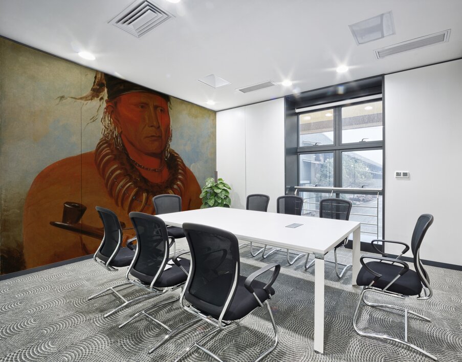 Háw-Che-Ke-Súg-Ga He Who Kills The Osages Chief of The Tribe 1832 Wall Printing