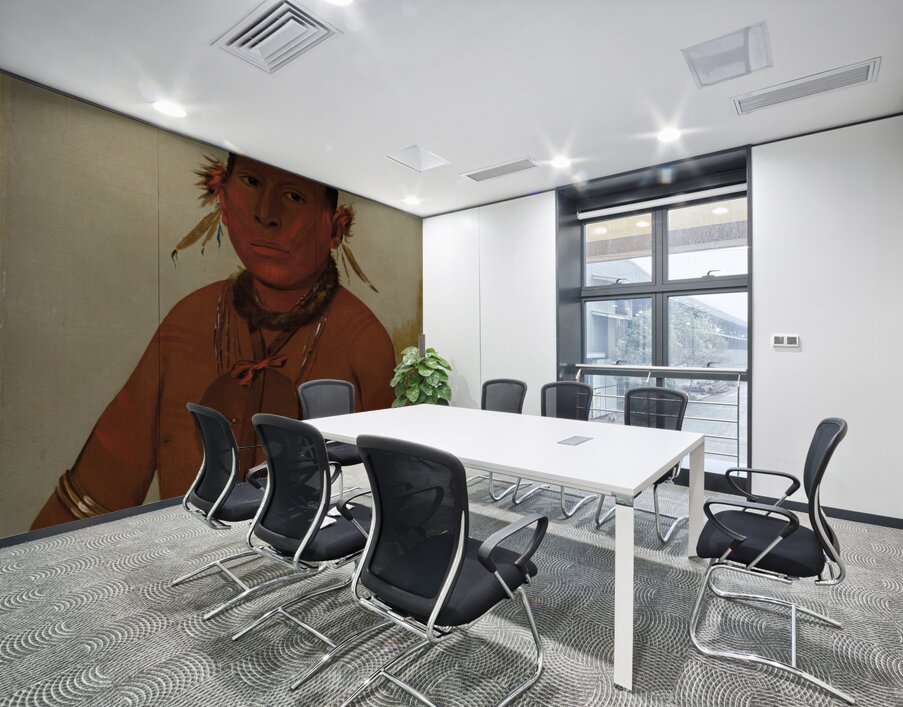 Wa-Sáw-Me-Saw Roaring Thunder Youngest Son of Black Hawk 1832 Wall Printing