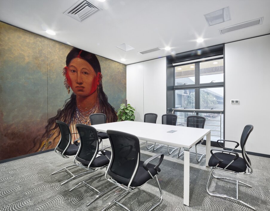 Koon-za-ya-me Female War Eagle 1844 Wall Printing