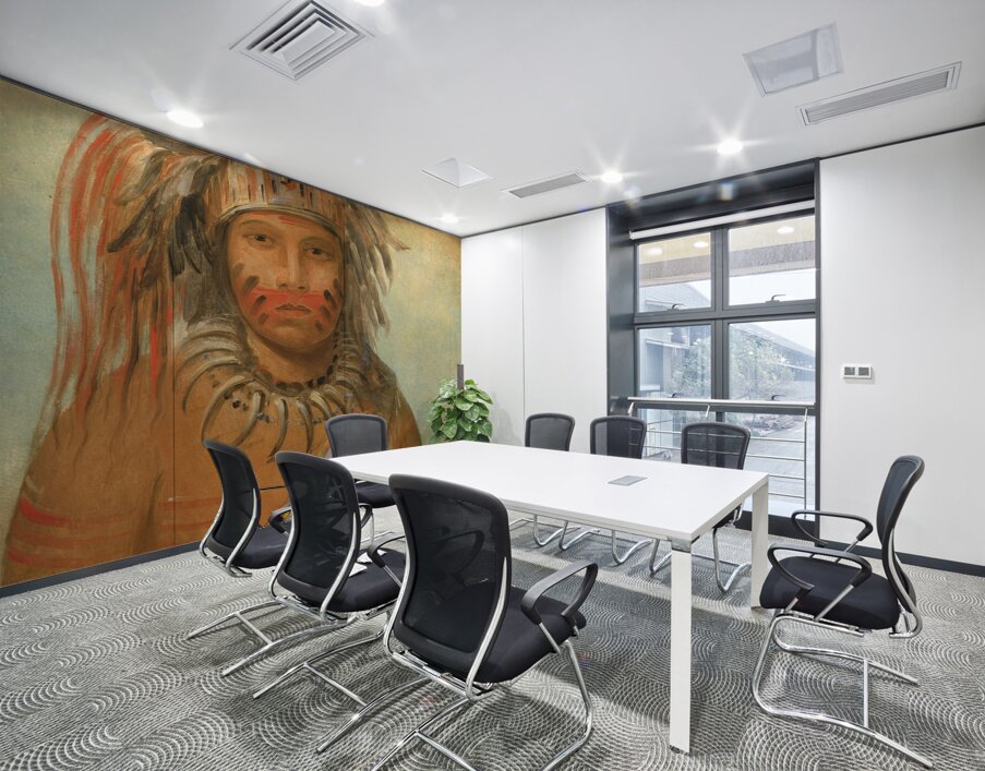 Au-nim-muck-kwa-um Tempest Bird 1845 Wall Printing