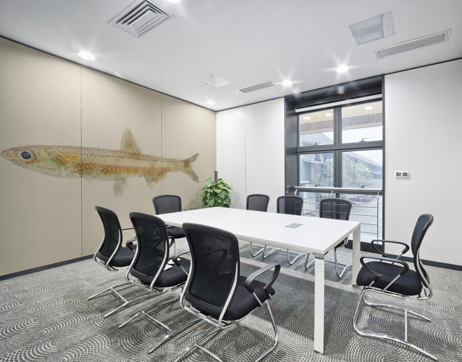 Antique fish engraulis australis anchovy South Pacific Fishes by Frank Edward Clarke 1849-1899.  Wall Printing