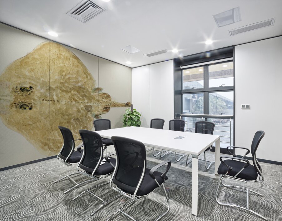 Antique fish sardinops neopilchardus pilchard South Pacific Fishes by Frank Edward Clarke 1849-1899.  Wall Printing