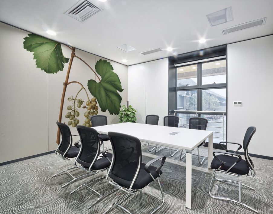 Friuili grape Vitis vinifera Forojuliensis from Pomona Italiana 1817 - 1839 by Giorgio Gallesio 1772-1839.  Wall Printing