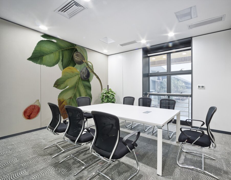 Apricot Armeniaca Alexandrina from Pomona Italiana 1817 - 1839 by Giorgio Gallesio 1772-1839.  Wall Printing