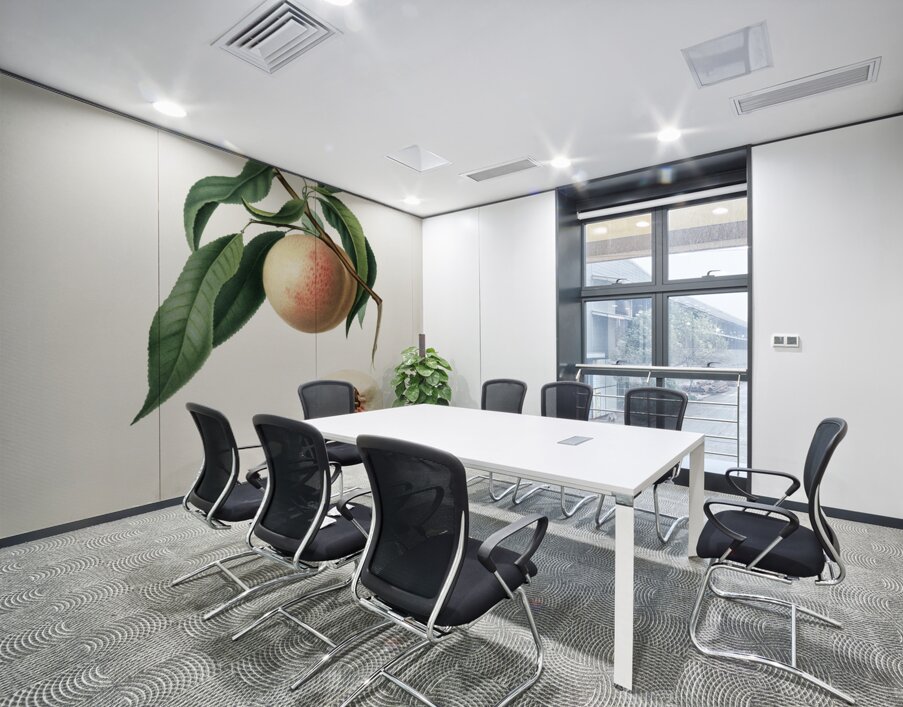 Peach Persica julodermis from Pomona Italiana 1817 - 1839 by Giorgio Gallesio 1772-1839.  Wall Printing