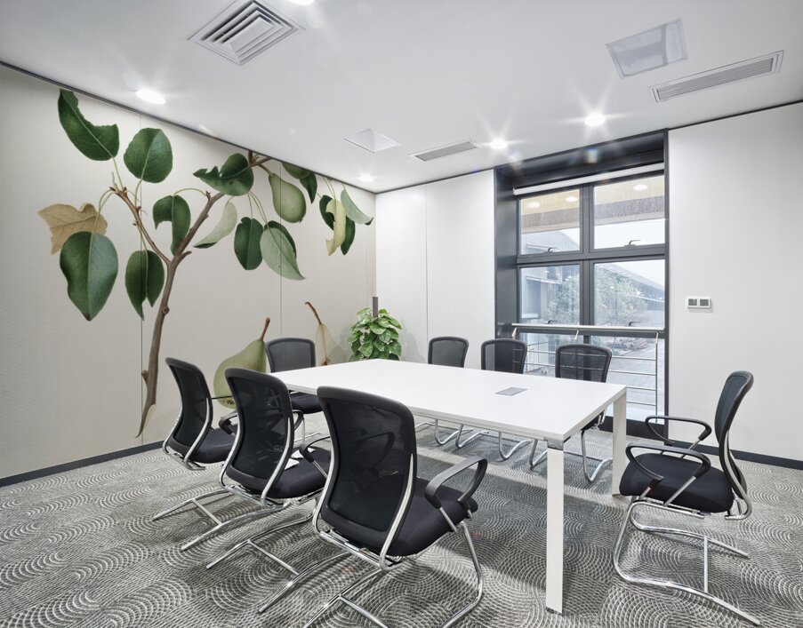 Pear Pyrus mendax from Pomona Italiana 1817 - 1839 by Giorgio Gallesio 1772-1839.  Wall Printing