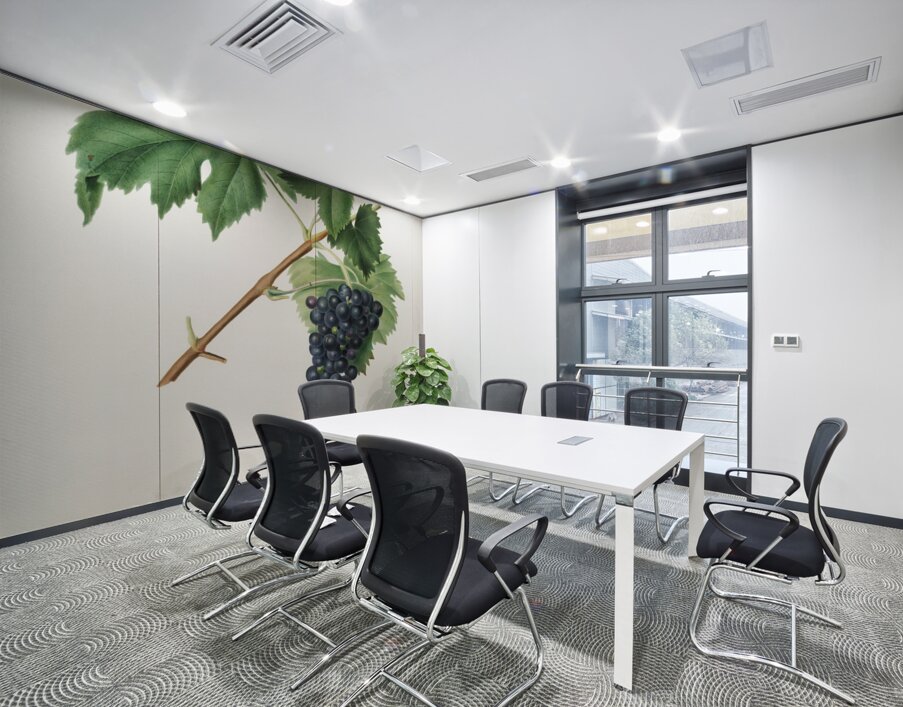 Black Aleatico grape Vitis vinifera from Pomona Italiana 1817 - 1839 by Giorgio Gallesio 1772-1839.  Wall Printing