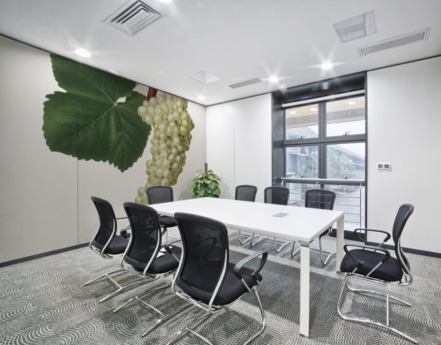 White Grape Vitis vinifera genuensis from Pomona Italiana 1817 - 1839 by Giorgio Gallesio 1772-1839.  Wall Printing