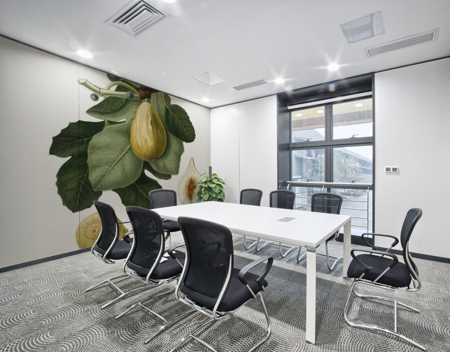 Common Fig Ficus carica sativa from Pomona Italiana 1817 - 1839 by Giorgio Gallesio 1772-1839.  Wall Printing