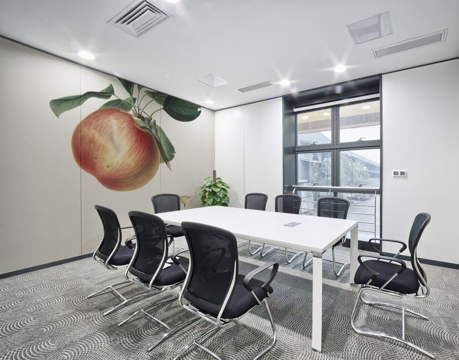 Apple Malus domestica from Pomona Italiana 1817 - 1839 by Giorgio Gallesio 1772-1839.  Wall Printing