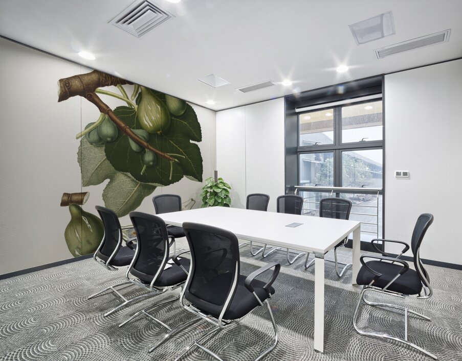 Common Fig Ficus carica sativa from Pomona Italiana 1817 - 1839 by Giorgio Gallesio 1772-1839.  Wall Printing