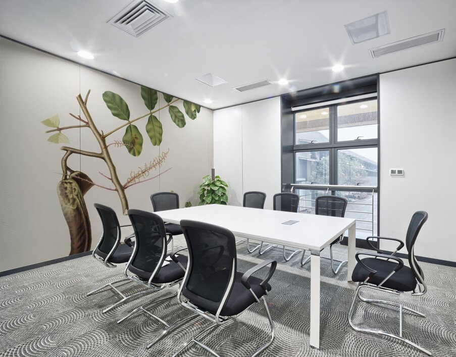 Carob Ceratonia from Pomona Italiana 1817 - 1839 by Giorgio Gallesio 1772-1839.  Wall Printing