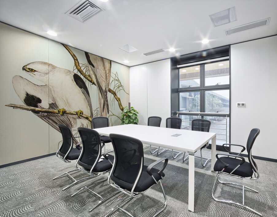 Square-tailed Kite Milvus insures illustrated by Elizabeth Gould 1804–1841 for John Gould’s 1804-1881 Birds of Australia  Wall Printing