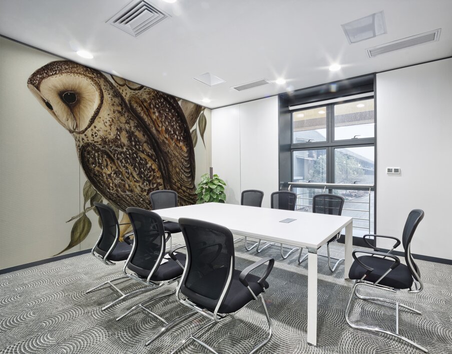 Masked Barn Owl Strix Personata Vig illustrated by Elizabeth Gould 1804–1841 for John Gould’s 1804-1881 Birds of Australia  Wall Printing