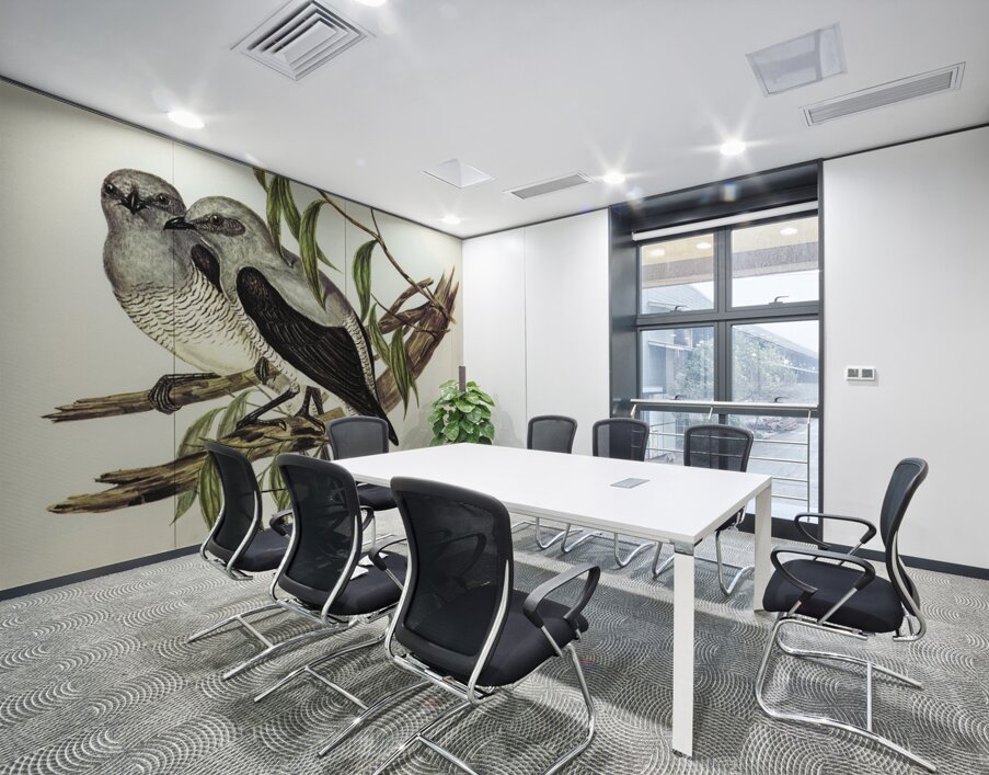 Ground Graucalus Pteropodocys Phasianella illustrated by Elizabeth Gould 1804–1841 for John Gould’s 1804-1881 Birds of Australia  Wall Printing