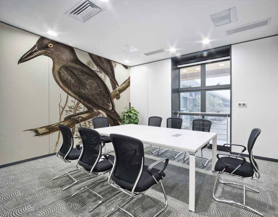 Grey Crow-Shrike Strepera Anaphonensis illustrated by Elizabeth Gould 1804–1841 for John Gould’s 1804-1881 Birds of Australia  Wall Printing