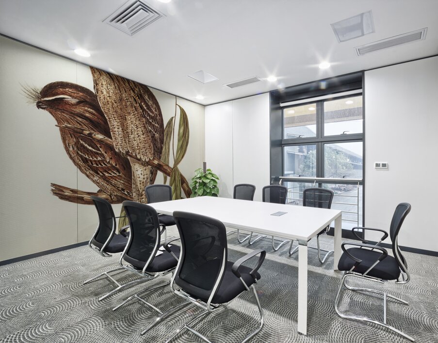 Black-Breasted Buzzard Buteo melanosternon illustrated by Elizabeth Gould 1804–1841 for John Gould’s 1804-1881 Birds of Australia  Wall Printing